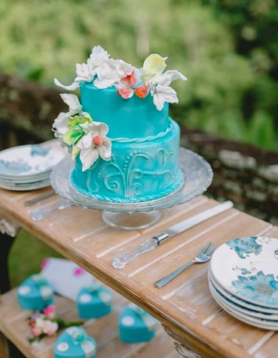 mickey-town-event-planner-orlando-fl-area-4